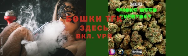 винт Алзамай