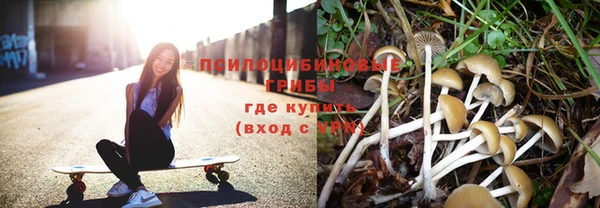 соль ск Нягань