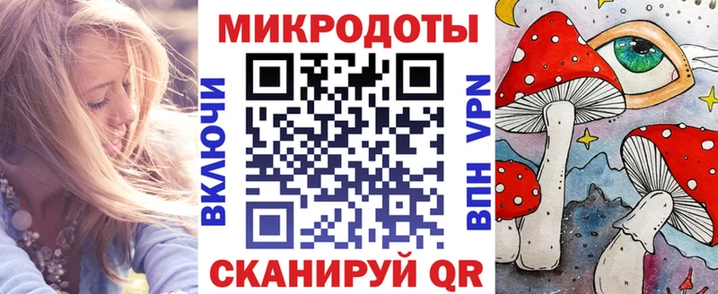 где можно купить наркотик  Рославль  Галлюциногенные грибы Psilocybe 